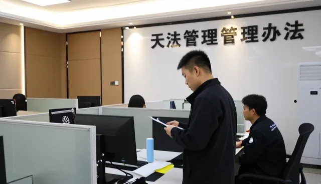 跨区域项目中的技术支持优势展示